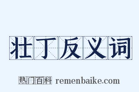 壮丁反义词是什么意思的图片